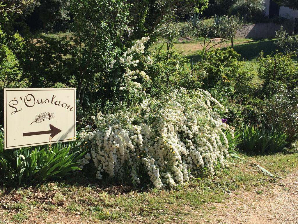 L'Oustaou B&B Piscine & Spa Besse-sur-Issole Eksteriør billede