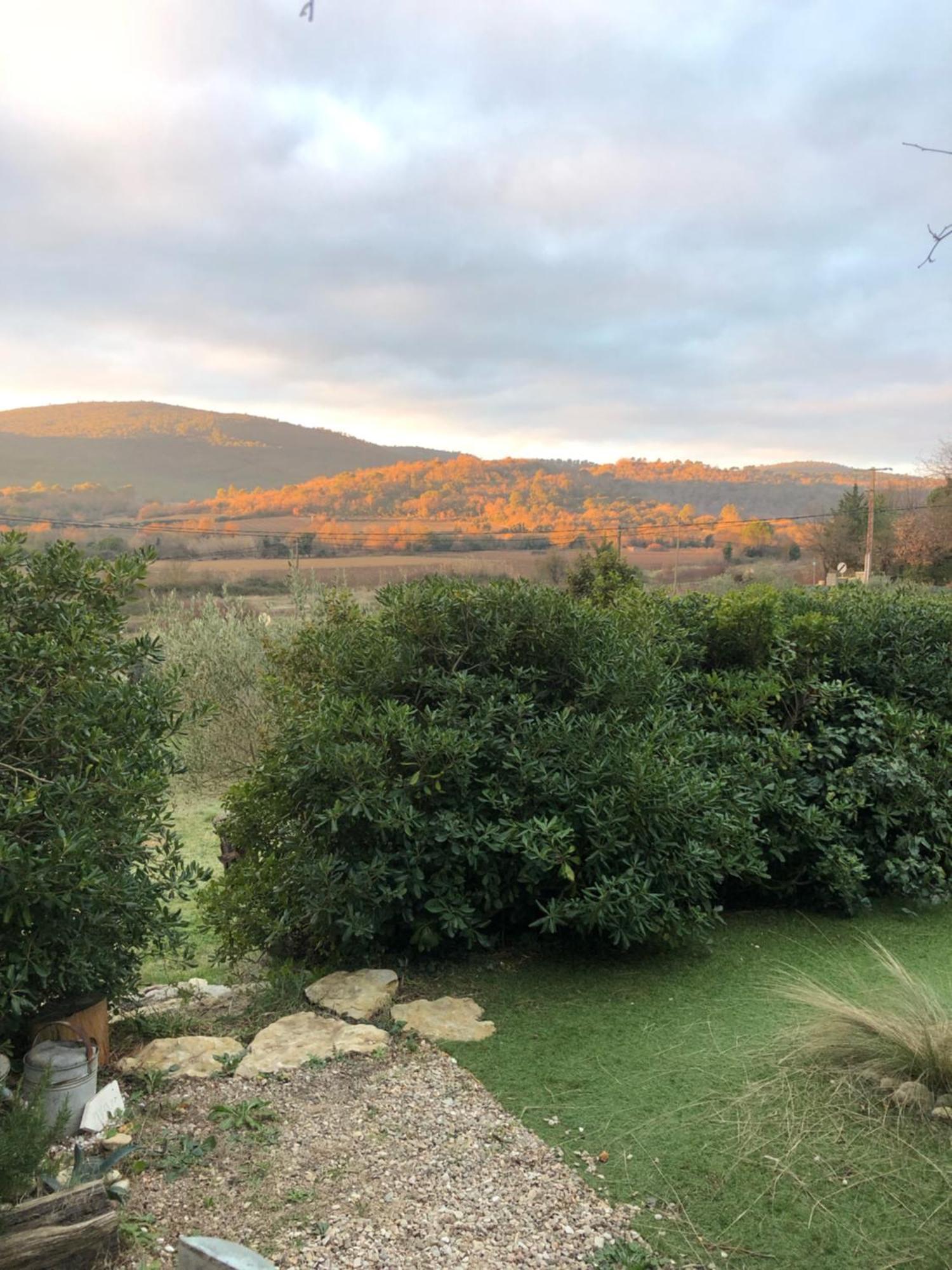 L'Oustaou B&B Piscine & Spa Besse-sur-Issole Eksteriør billede
