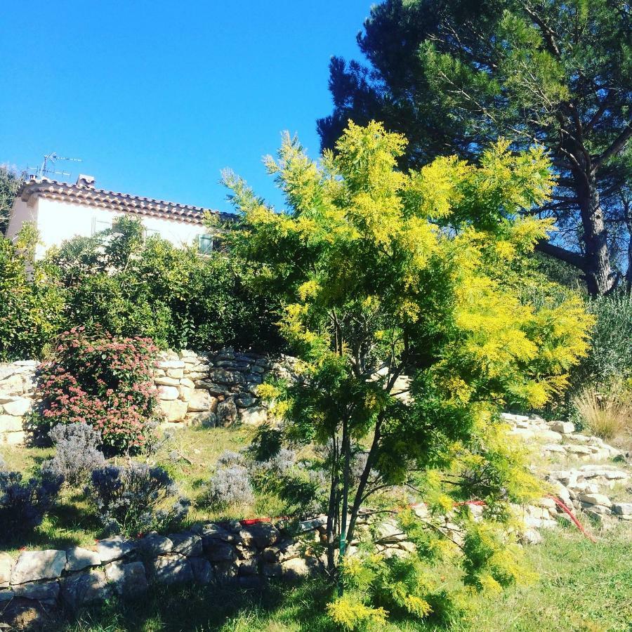 L'Oustaou B&B Piscine & Spa Besse-sur-Issole Eksteriør billede